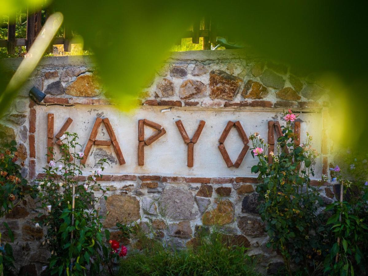 Karyon Apartments Kariófiton Екстериор снимка