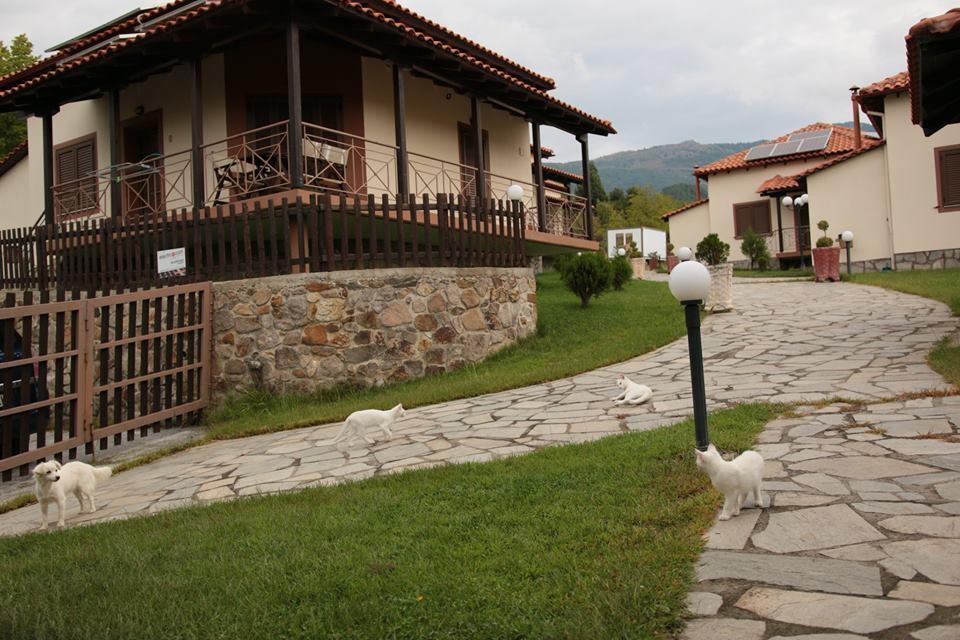 Karyon Apartments Kariófiton Екстериор снимка